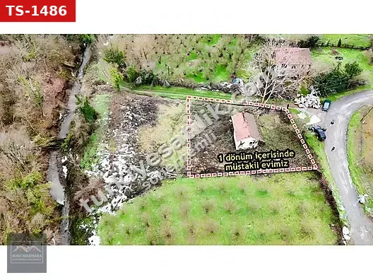 HENDEK GÜLDİBİ MAHALLESİ 1 DÖNÜM MÜSTAKİL EV