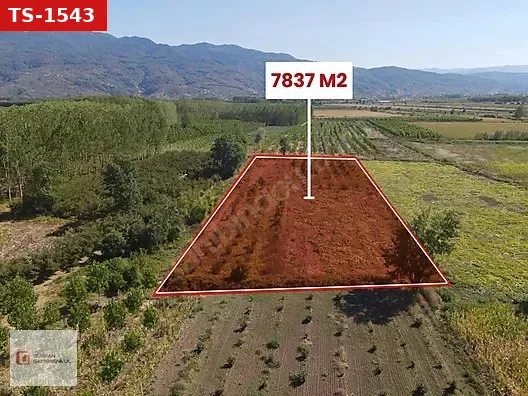 GÜRKAN GAYRİMENKUL MARTİNLER MAHALLESİNDE SATILIK 7837 M2 TARLA